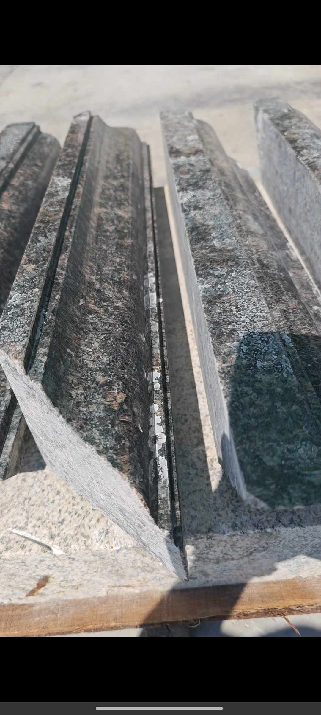 孝感英国棕别墅线条